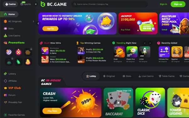 Exploring the Exciting World of BC.Game Casino Play
