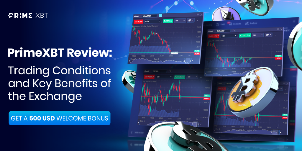 Discover the Power of PrimeXBT Live Trading